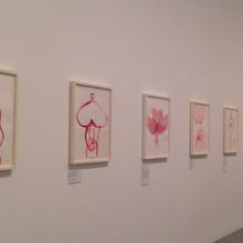 撮影はおっけー