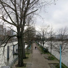 曇ったり晴れたり変化の激しい午後でした