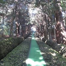 木漏れ日の道を進みます