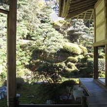 庭園、古いながら味がある