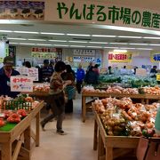 海ぶどう安いです。食品のお土産を買うのにおすすめ。