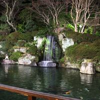 日本庭園　ライトアップ