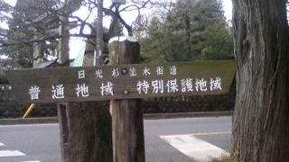 ゆっくりのんびり散策できる日光杉並木