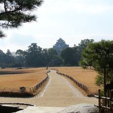 後楽園からの眺め