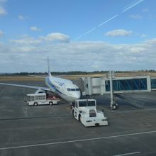 搭乗機と滑走路　向うに見えるのは日本海