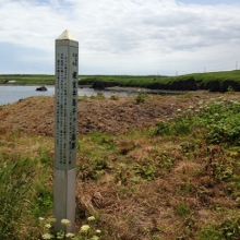 国後島を望む海の丘に建っている