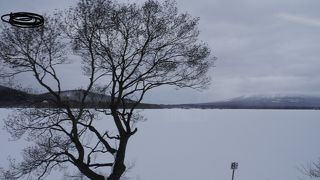静かに散策を楽しむなら