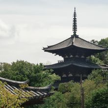 五重の塔も雰囲気がいいです