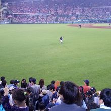 外野スタンドから見た球場全体の様子