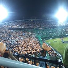 ロッテ側の応援風景の様子