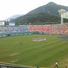 球場全体の様子