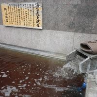 海藻でトロットロになったお湯でございます