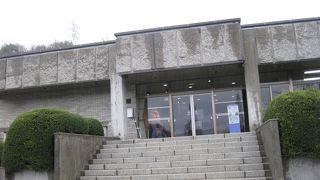 いろんな化石が見られるよ！