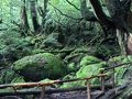 民宿　あらき　＜屋久島＞ 写真