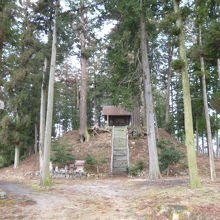 後円の部分には小さな祠があり、静寂な気に満ちています。