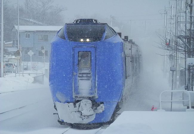 もちろん雪に強い設計です。