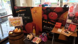 愛媛と言えば、みかんですが、みかんを使ったジュースやゼリーなど様々な食べ物を置いています。