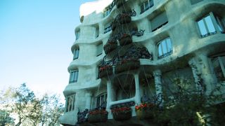 クリスマスの飾り付け