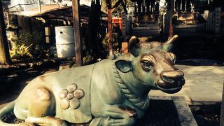 恋が生まれる？！