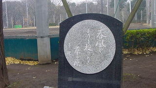 こんなところに球場が