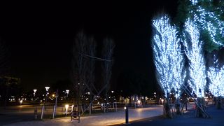 イルミネーションが美しい