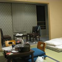 一般的な旅館宿という感じ