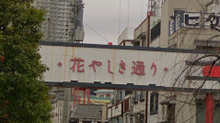 ひっそりとしています。