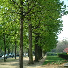 美術館傍の公園