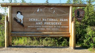 アラスカ観光のハイライト、?北米最高峰マッキンリー山、?クマやトナカイなど野生動物、?ツンドラの高山植物の3点は外せません