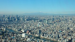 平日なのに人がいっぱい