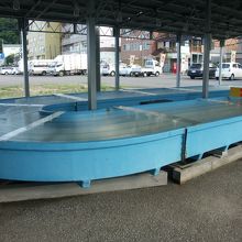 イカの競争が行われる水槽