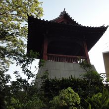 下から見上げる