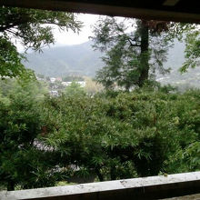 お部屋から。別荘地の林の中です。