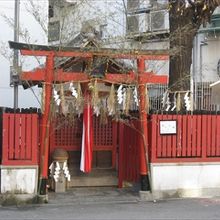 とても小さいです