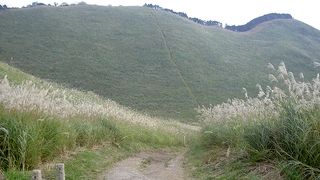 ススキで有名な、ピクニックに最適な高原