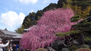 個人宅です。マナー厳守で。