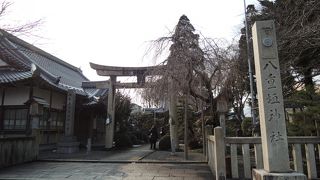 境内が小さいながら美しい