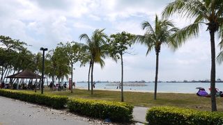 シンガポールのビーチ沿いを快適にサイクリング！