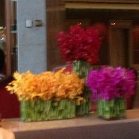 ロビーの花々