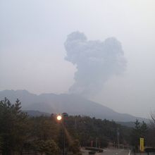 桜島目前です