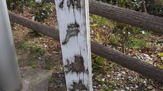 高知県立坂本龍馬記念館の敷地内です