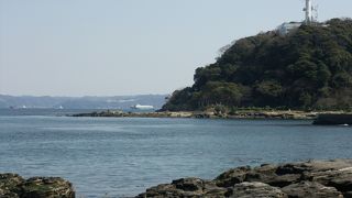 様々な楽しみのあるスポット