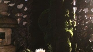 やっぱり雰囲気がいい