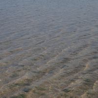 本当に透明度が高い渚です。