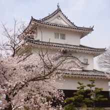 丸亀城桜まつり