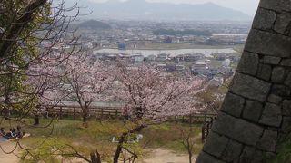 散策は至福の時