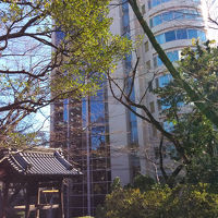 日本庭園から見たホテル