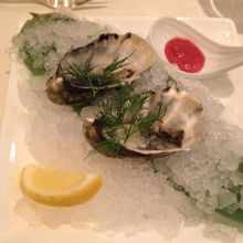 スターターのオイスター