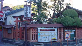 カフェ探しが楽しい