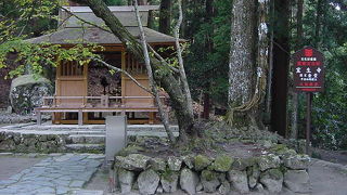 ちょうど特別拝観をやっていました